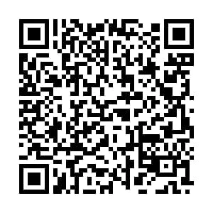 catalogs_file_860_49_15_977786.webp